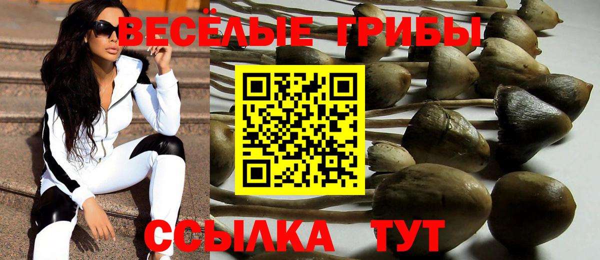 Галлюциногенные грибы Cubensis Когалым