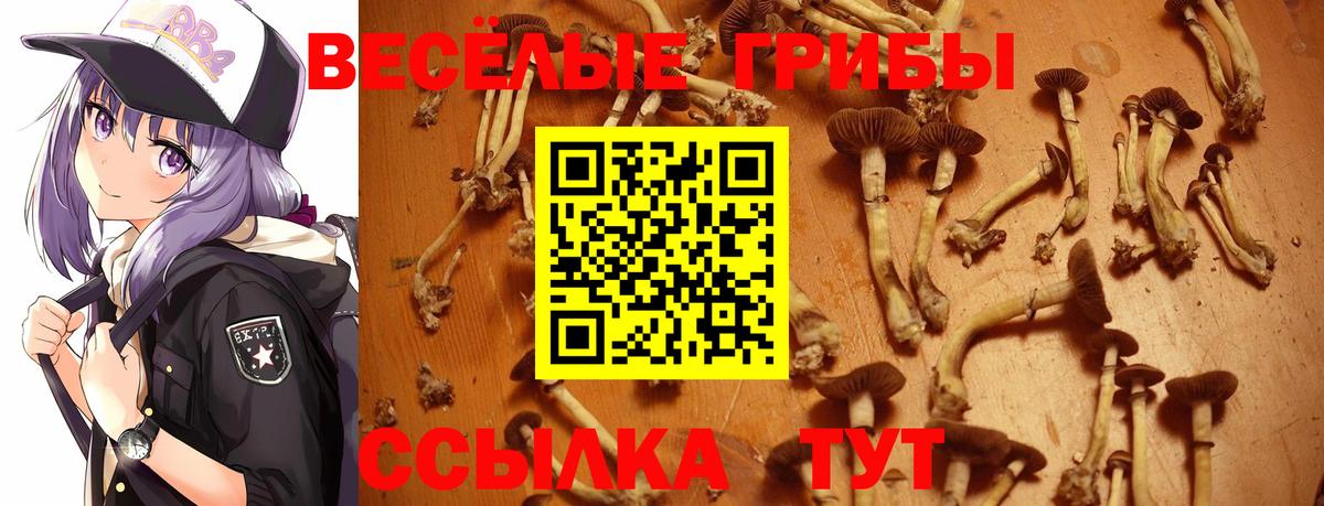 Когалым  Псилоцибиновые грибы мухоморы  Галлюциногенные грибы мицелий  Вход с VPN 